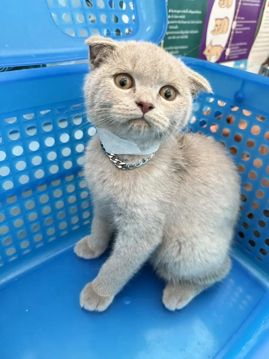 ห้องผ่าตัด