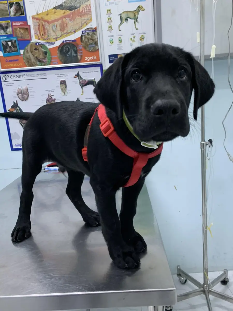 ห้องพักฟื้น